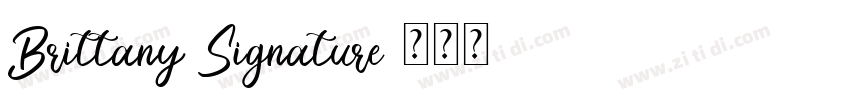 Brittany Signature字体转换
